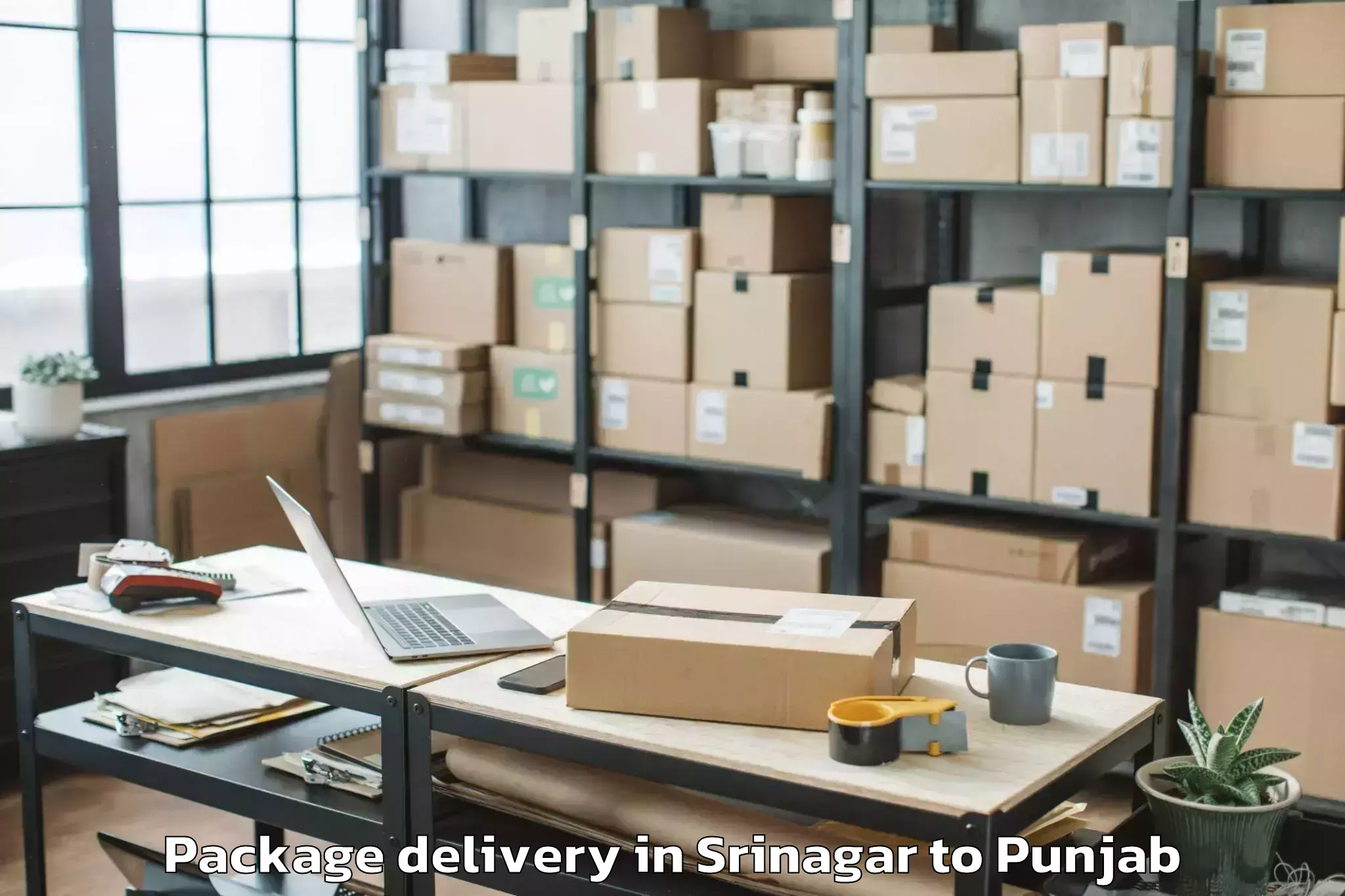 Book Your Srinagar to Chitkara University Punjab Pun Package Delivery Today